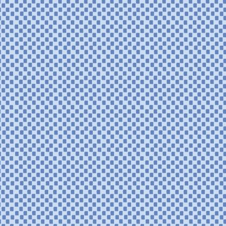 Checkers on Blue - Rifle Paper Co